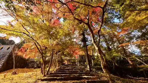 正法寺(京都府)