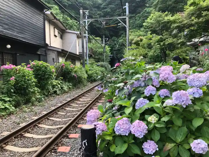 御霊神社の周辺