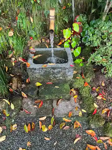 妙楽寺(福井県)