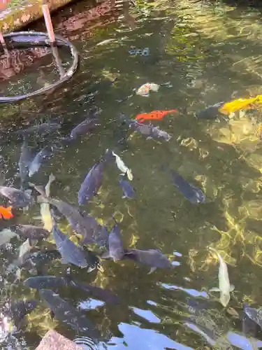 熊野那智大社(和歌山県)