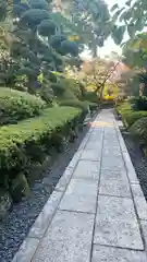 蓮光寺の建物その他