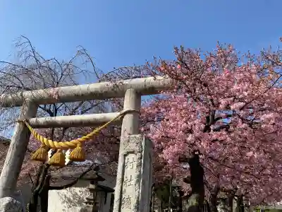 鏡神社の{uncategorized: "未分類", other: "その他", undefined: "問題あり", building: "その他建物", grave: "お墓", sacred_gate: "鳥居", guardian: "狛犬", statue: "像", buddha: "仏像", history: "歴史", nature: "自然", garden: "庭園", animal: "動物", pagoda: "塔", temizu: "手水舎", mountain_gate: "山門・神門", sanctuary: "本殿・本堂", subordinate: "末社・摂社", art: "芸術", scenery: "景色", jizo: "地蔵", ema: "絵馬", goshuin: "御朱印", omikuji: "おみくじ", items: "授与品その他", amulet: "お守り", goshuincho: "御朱印帳", eats: "食事", festival: "お祭り", votive_dance: "神楽", shichigosan: "七五三参", wedding: "結婚式", experience: "体験その他", initially: "初詣", around: "周辺", anti_infection: "感染症対策"}