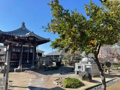 延命寺(群馬県)