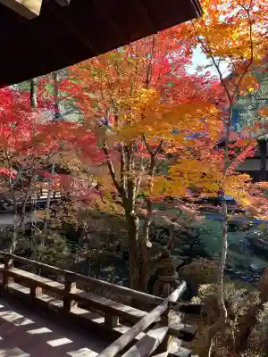禅林寺(永観堂)(京都府)