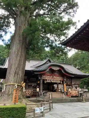 北口本宮冨士浅間神社の本殿・本堂
