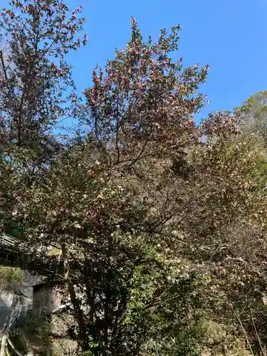 高取神社(兵庫県)