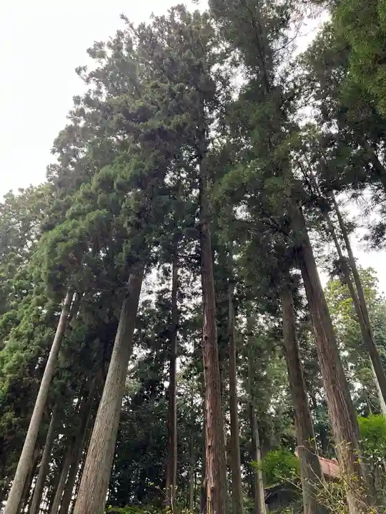 大宮温泉神社(栃木県)