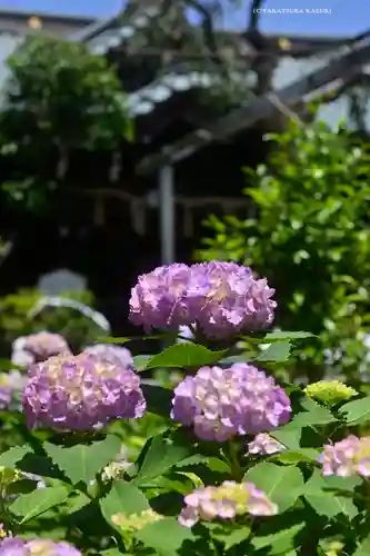 白山神社(東京都)