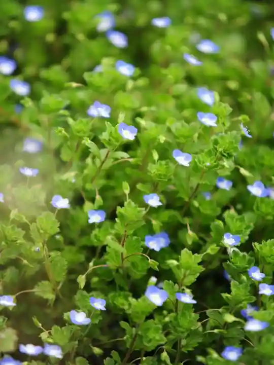 浄土寺(兵庫県)