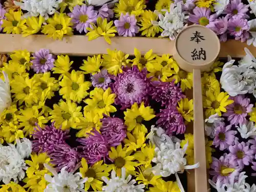 土津神社｜こどもと出世の神さまの手水