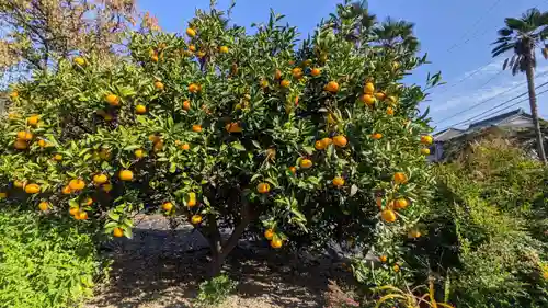 光専寺(愛知県)