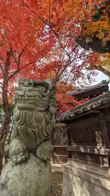 松ヶ崎大黒天 妙圓寺（妙円寺）(京都府)