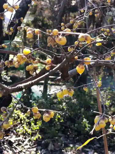 木舟山　順教寺の自然