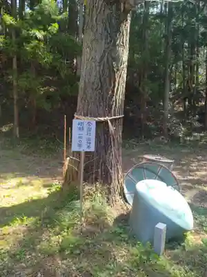 金山神社(宮城県)