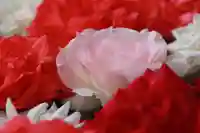 田村神社の手水舎