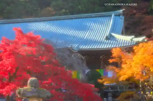 最乗寺（道了尊）(神奈川県)