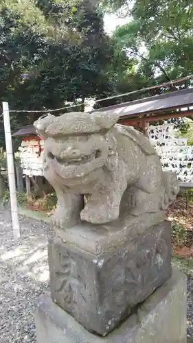 菊田神社の狛犬