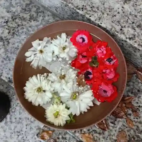 彌彦神社　(伊夜日子神社)の手水舎