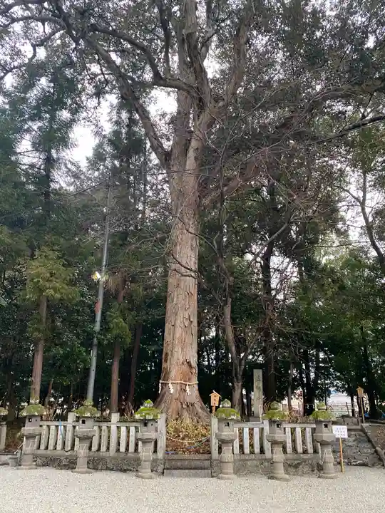 鴨都波神社の自然