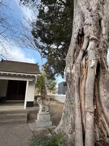 竃神社(兵庫県)