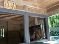 伊勢神宮内宮（皇大神宮）(三重県)