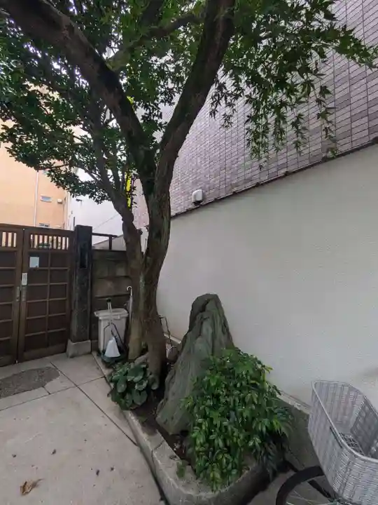 真龍寺(東京都)