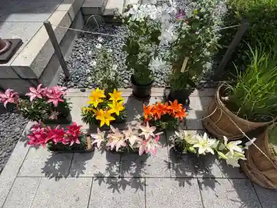 東京大神宮(東京都)