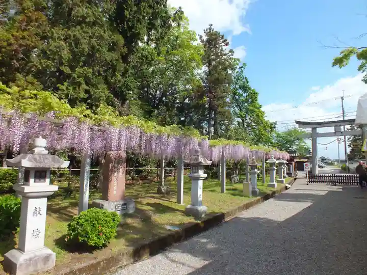 三大神社(滋賀県)