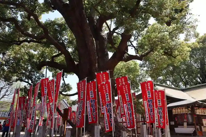 楠珺社(住吉大社末社)の自然