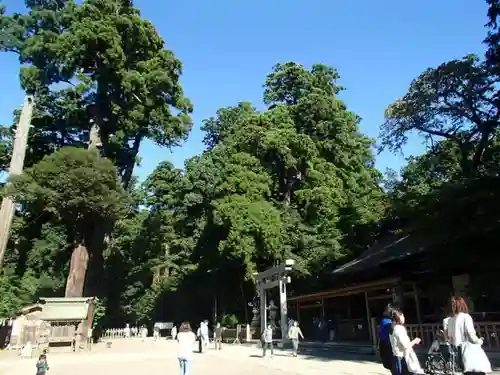 鹿島神宮の建物その他