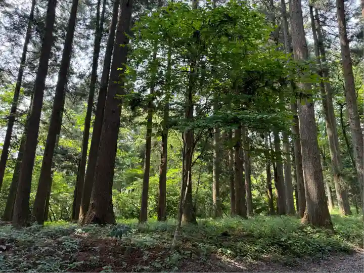 山宮浅間神社(静岡県)