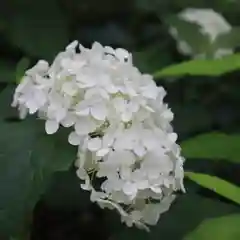 高幡不動尊　金剛寺(東京都)