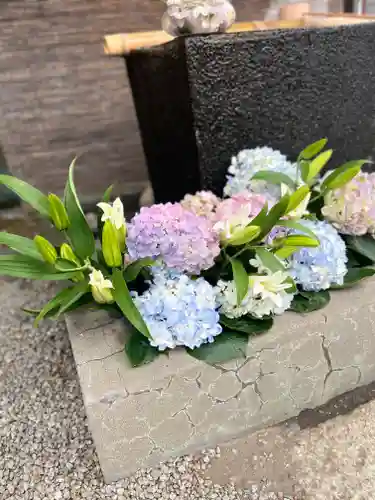 上尾御嶽神社の手水