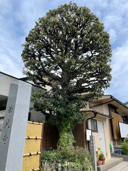 法光寺(東京都)