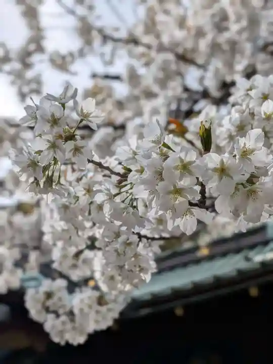 金王八幡宮(東京都)