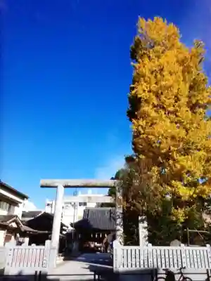 池袋御嶽神社(東京都)