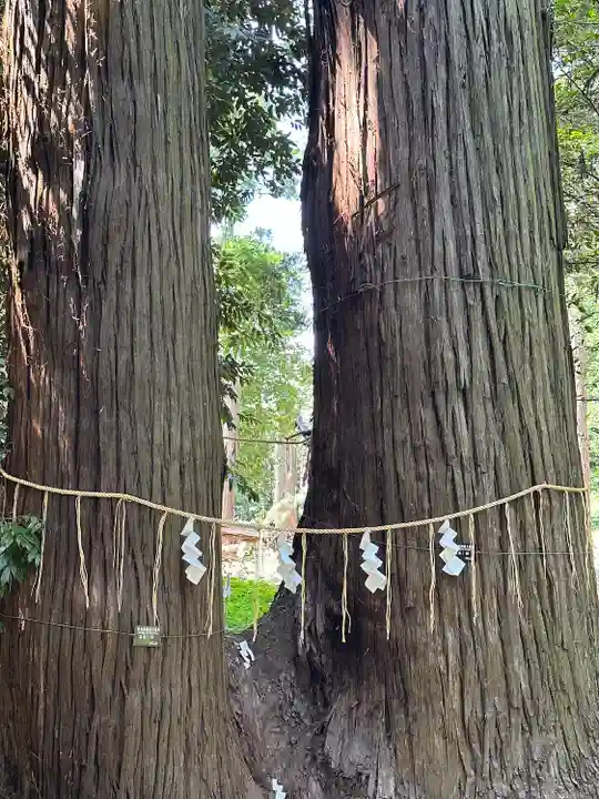 日吉神社(千葉県)