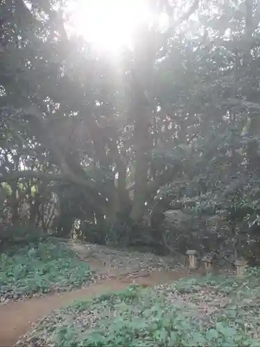 猿田神社(千葉県)