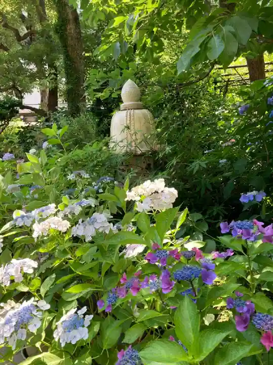 坐摩神社の自然