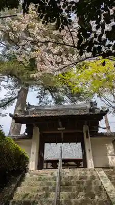 大念寺(京都府)