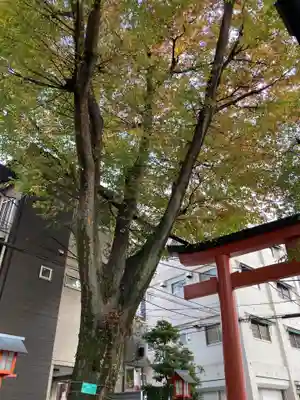 赤城神社の自然