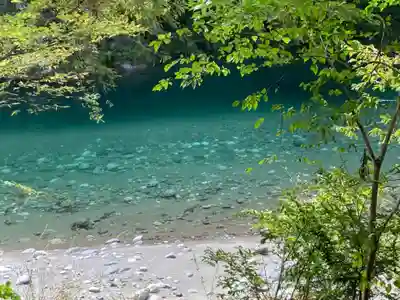 三社神社の自然