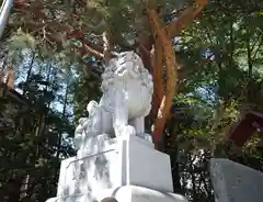 北見神社の狛犬