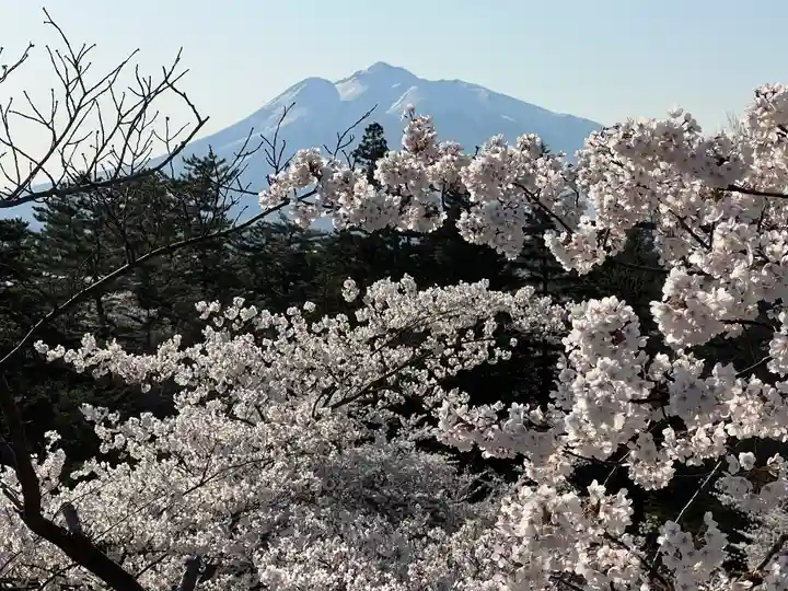 青森縣護國神社の自然