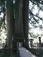 戸隠神社中社の{uncategorized: "未分類", other: "その他", undefined: "問題あり", building: "その他建物", grave: "お墓", sacred_gate: "鳥居", guardian: "狛犬", statue: "像", buddha: "仏像", history: "歴史", nature: "自然", garden: "庭園", animal: "動物", pagoda: "塔", temizu: "手水舎", mountain_gate: "山門・神門", sanctuary: "本殿・本堂", subordinate: "末社・摂社", art: "芸術", scenery: "景色", jizo: "地蔵", ema: "絵馬", goshuin: "御朱印", omikuji: "おみくじ", items: "授与品その他", amulet: "お守り", goshuincho: "御朱印帳", eats: "食事", festival: "お祭り", votive_dance: "神楽", shichigosan: "七五三参", wedding: "結婚式", experience: "体験その他", initially: "初詣", around: "周辺", anti_infection: "感染症対策"}
