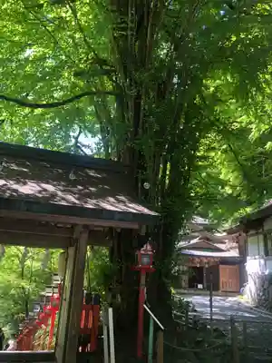 貴船神社(京都府)