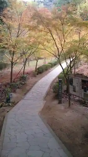 武雄神社の自然