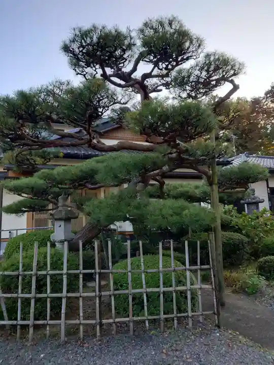 圓満寺(福島県)