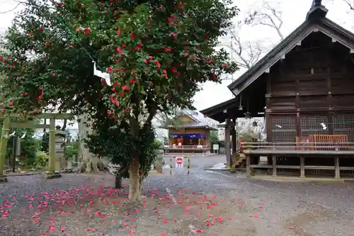 日吉神社の景色