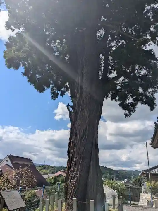 薬師寺(三重県)